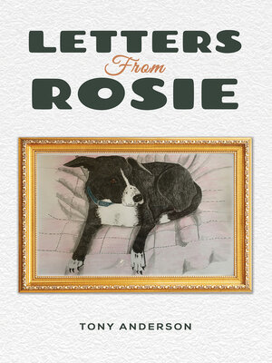 cover image of Letters from Rosie